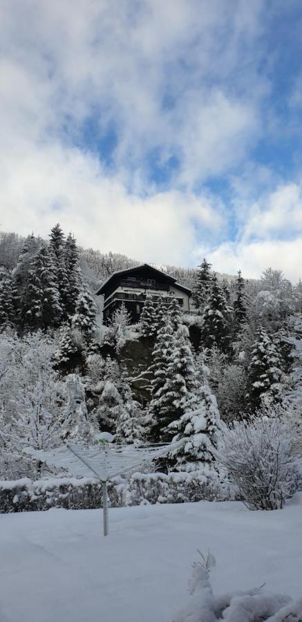 Villa Taube Бадгаштейн Экстерьер фото